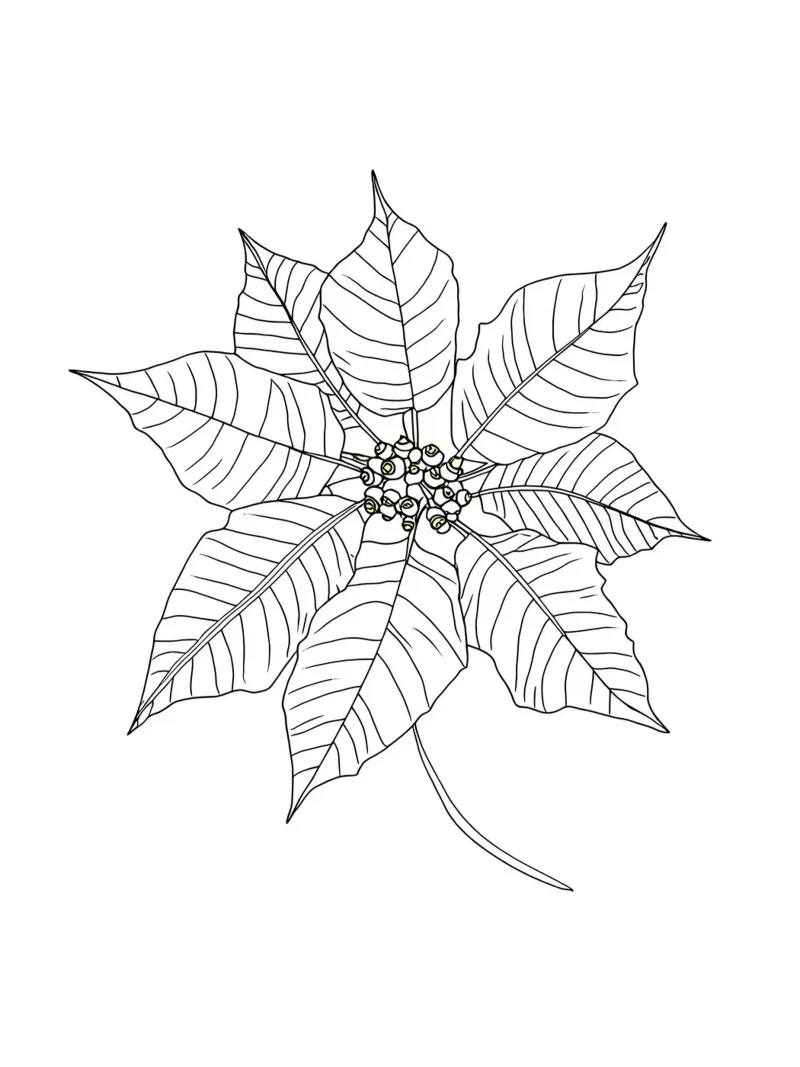 Stella di Natale - Line Art minimalista pellicola backlit da Viv Line Art