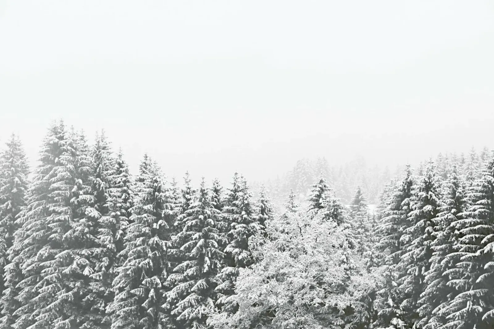 Winter In the Mountains plexiglas de Monika Strigel