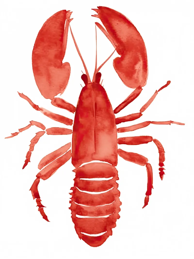 Lobster, Big Langosta Watercolour forex plate by Peaches Art Prints