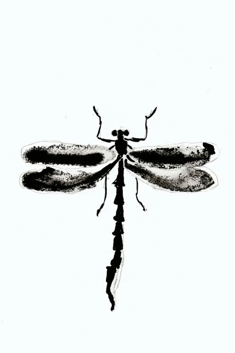 My Libella pellicola backlit da Nathys_illustration