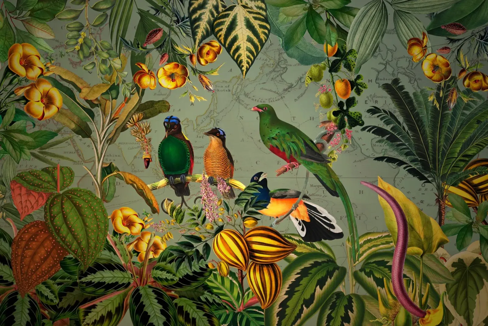 Mistico Vintage Esotico Uccelli colorati Giungla Nightgar poster da Vintage World - Uta Naumann