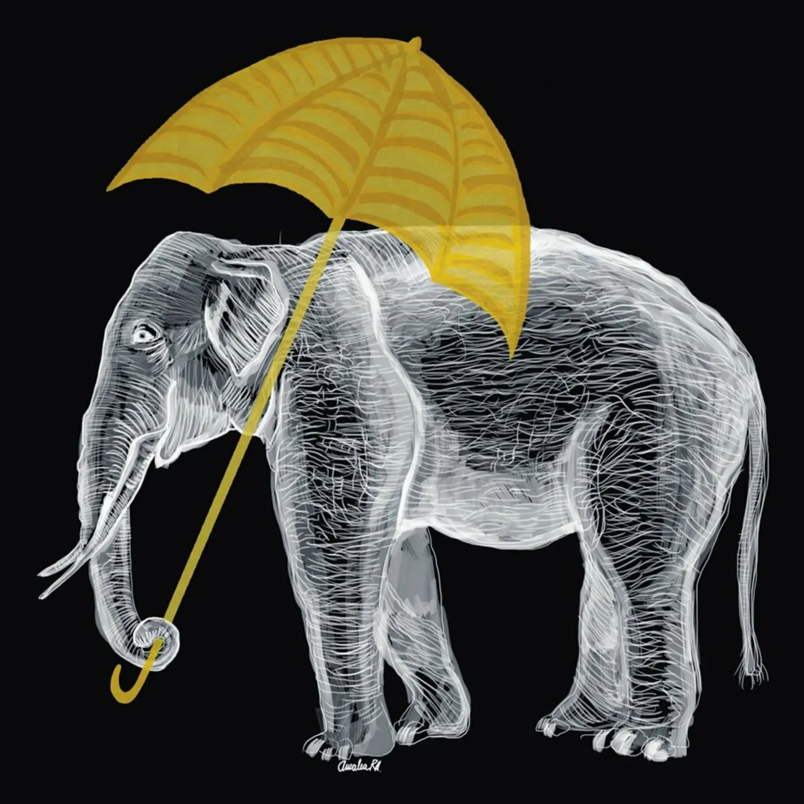 Elephant with Umbrella pellicola backlit da Amalia Restrepo