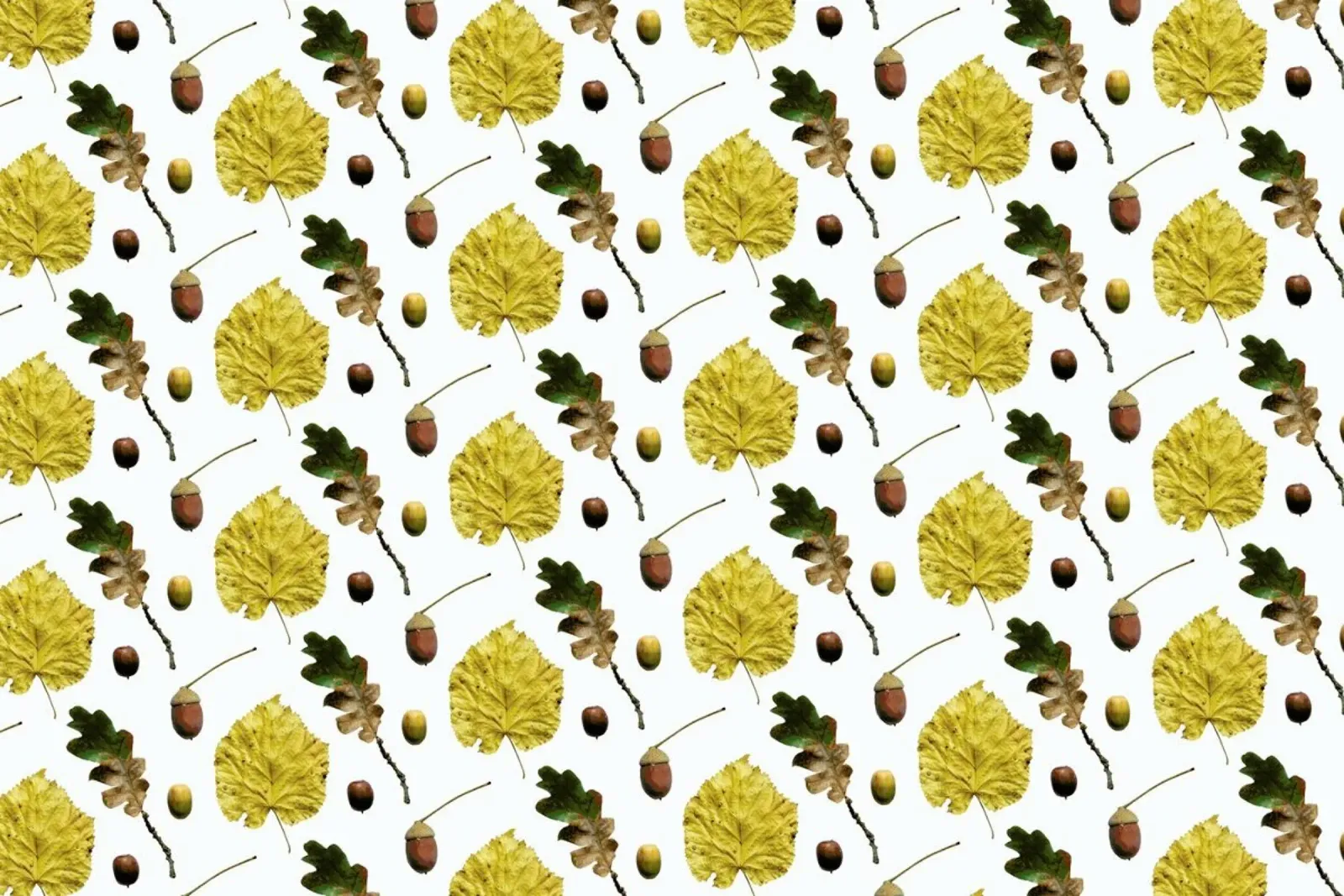 PATTERN AUTUNNALE I pellicola backlit da Elena Veronese