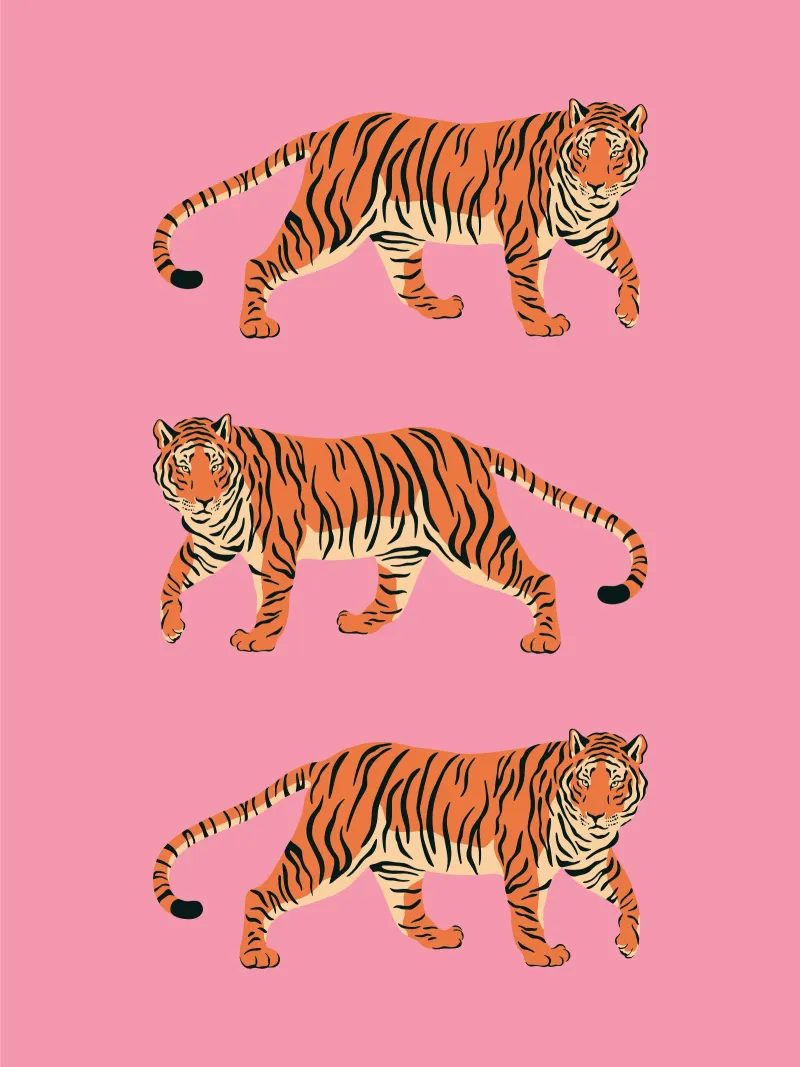 Tigri in rosa - Elegante arte da parete con motivo animale poster da Studio Mooodz