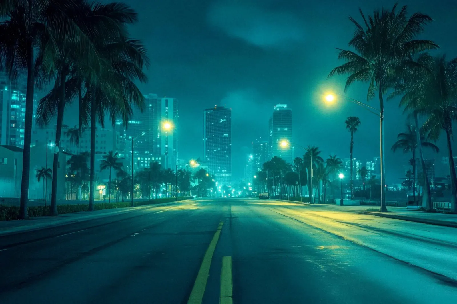 Miami by night: palm trees and the illuminated skyline canvas by By Night