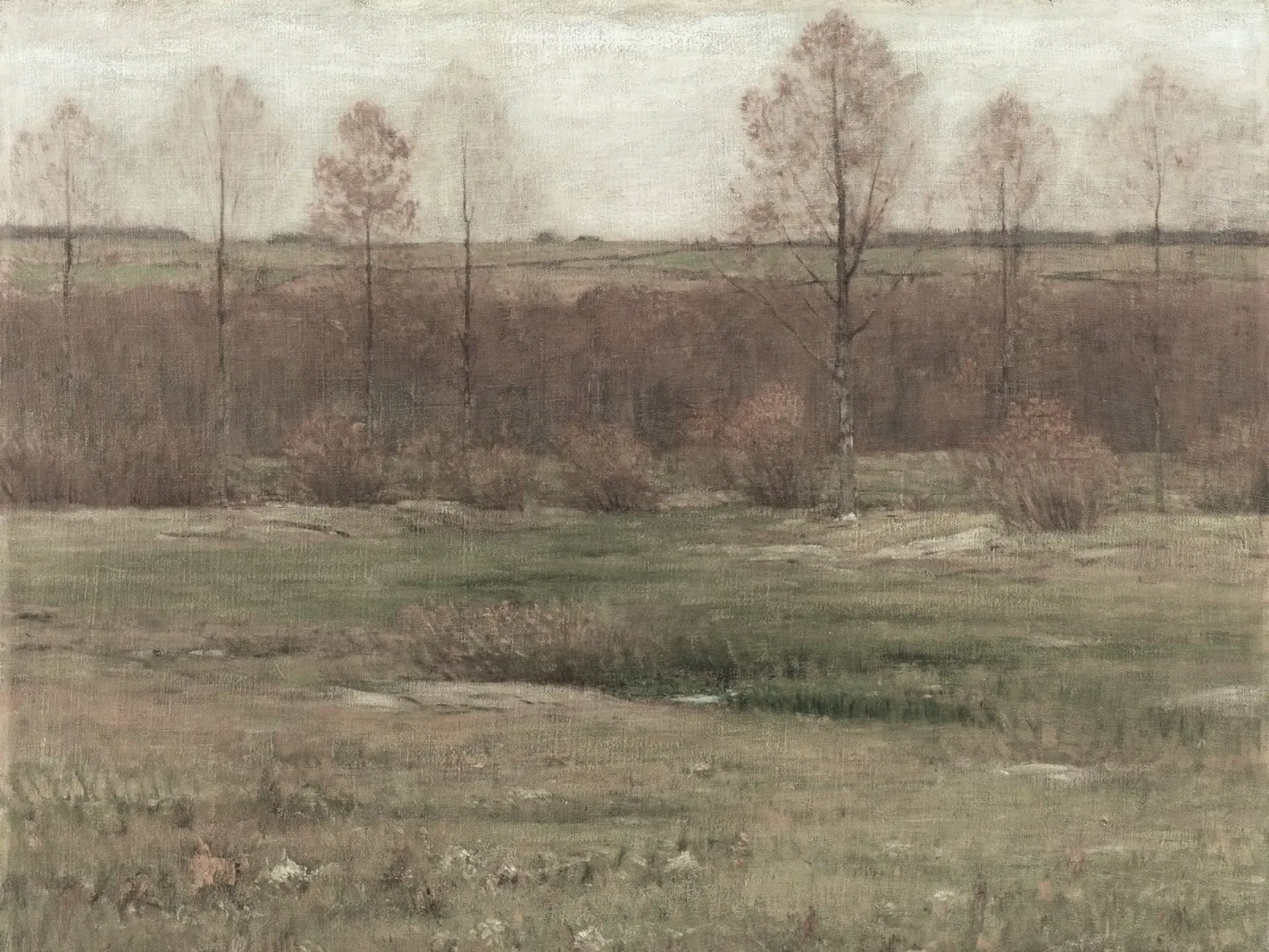Moody Autumn Landscape carta hahnemühle da apoloprints