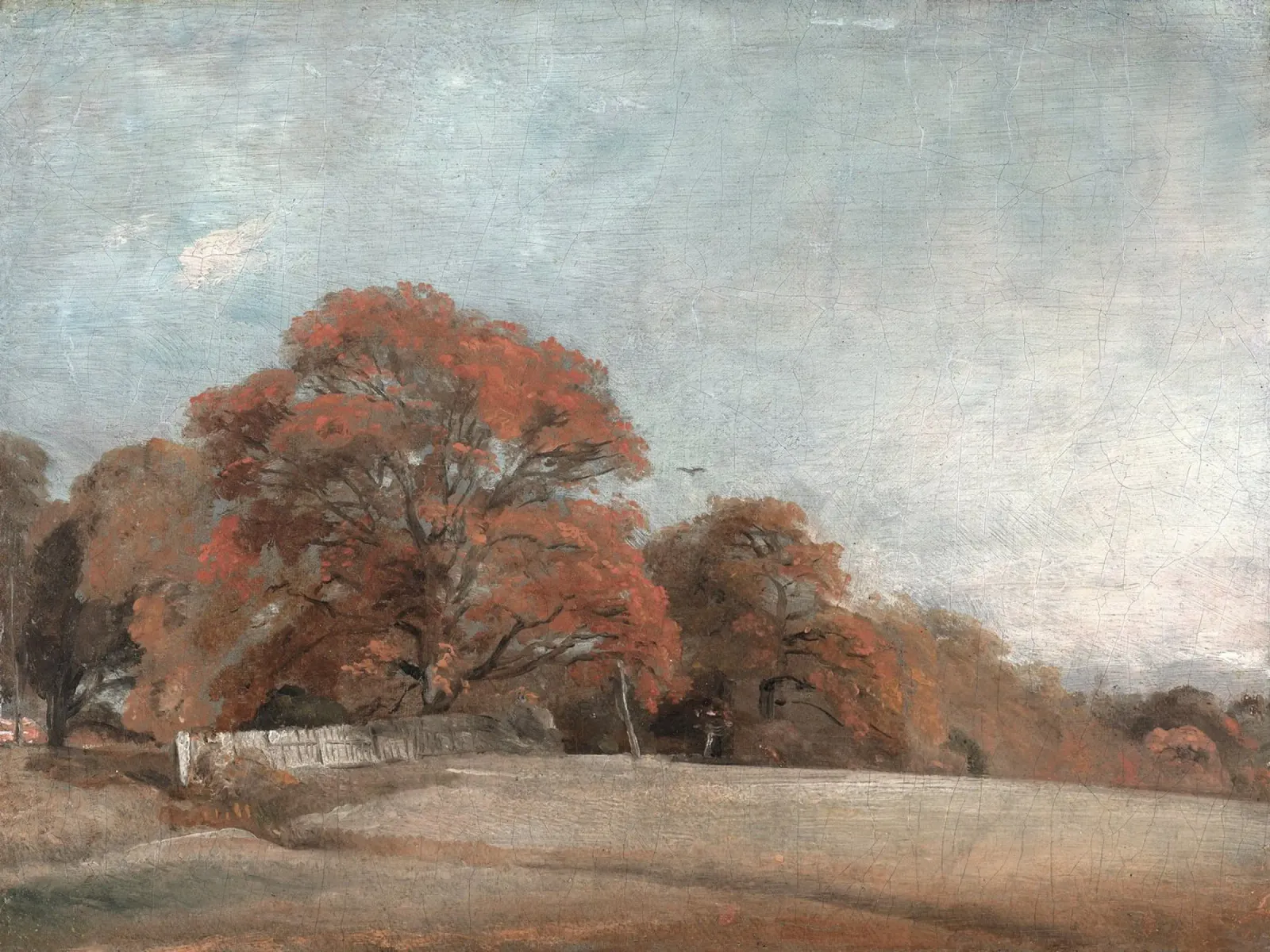 Autumn Landscape carta hahnemühle da apoloprints
