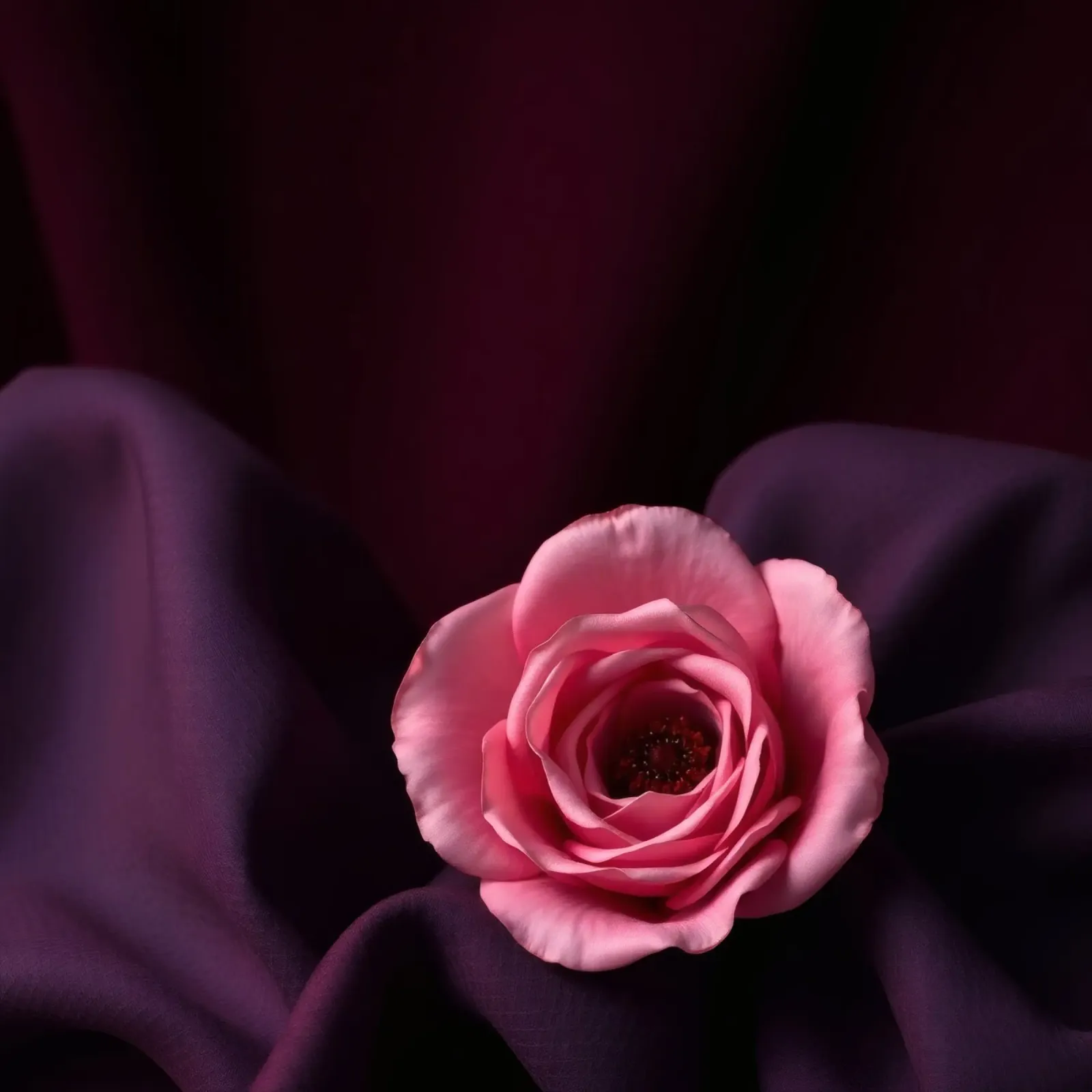 Elegante rosa appoggiata su un ricco tessuto viola poster con telaio in legno da DesignDoodle