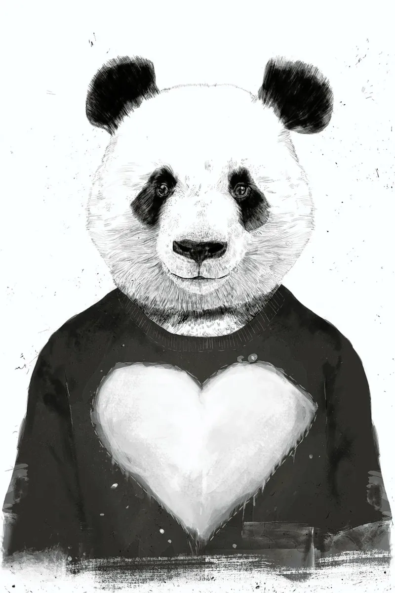 Lovely Panda pellicola backlit da Balazs Solti