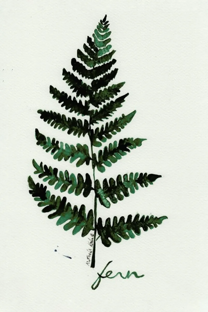 Fern pellicola backlit da Nathys_illustration