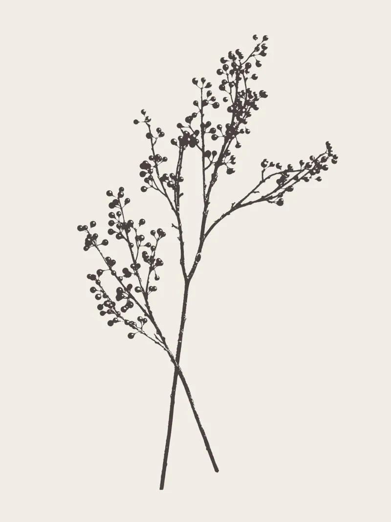 Ilex berries stem hahnemühle de apoloprints