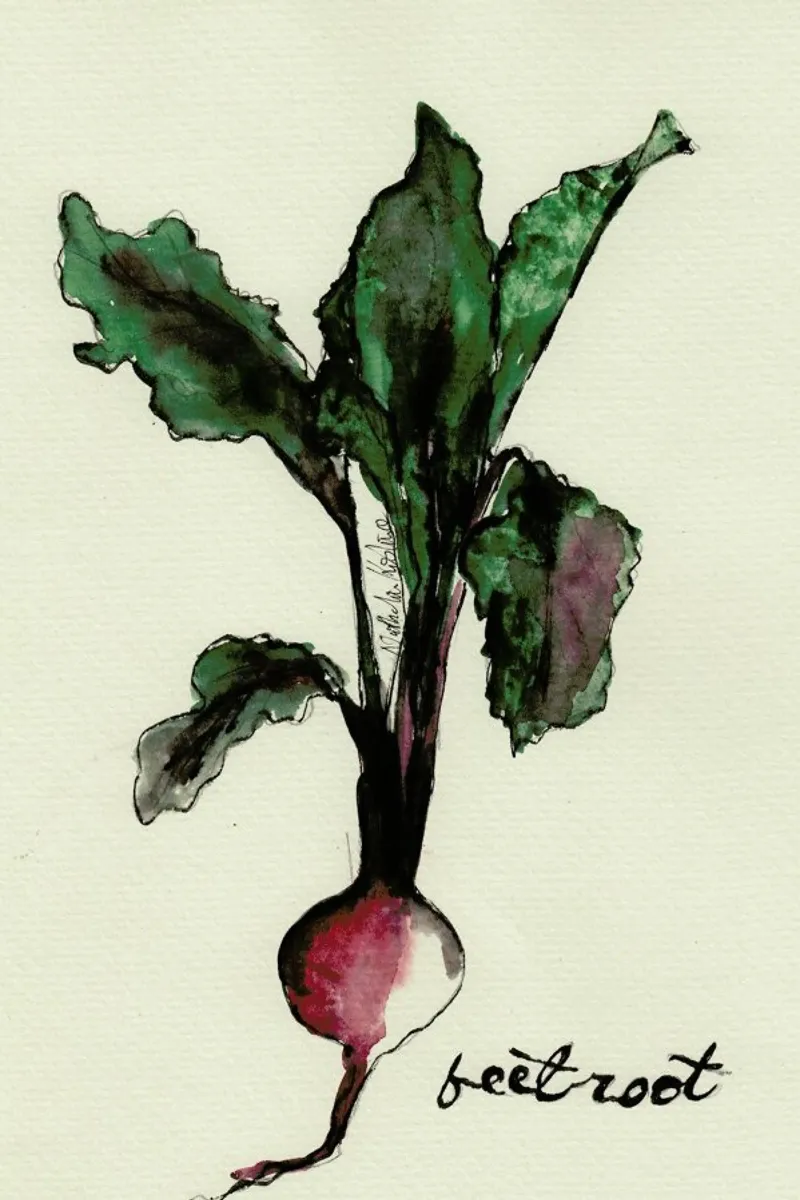 Beetroot pellicola backlit da Nathys_illustration
