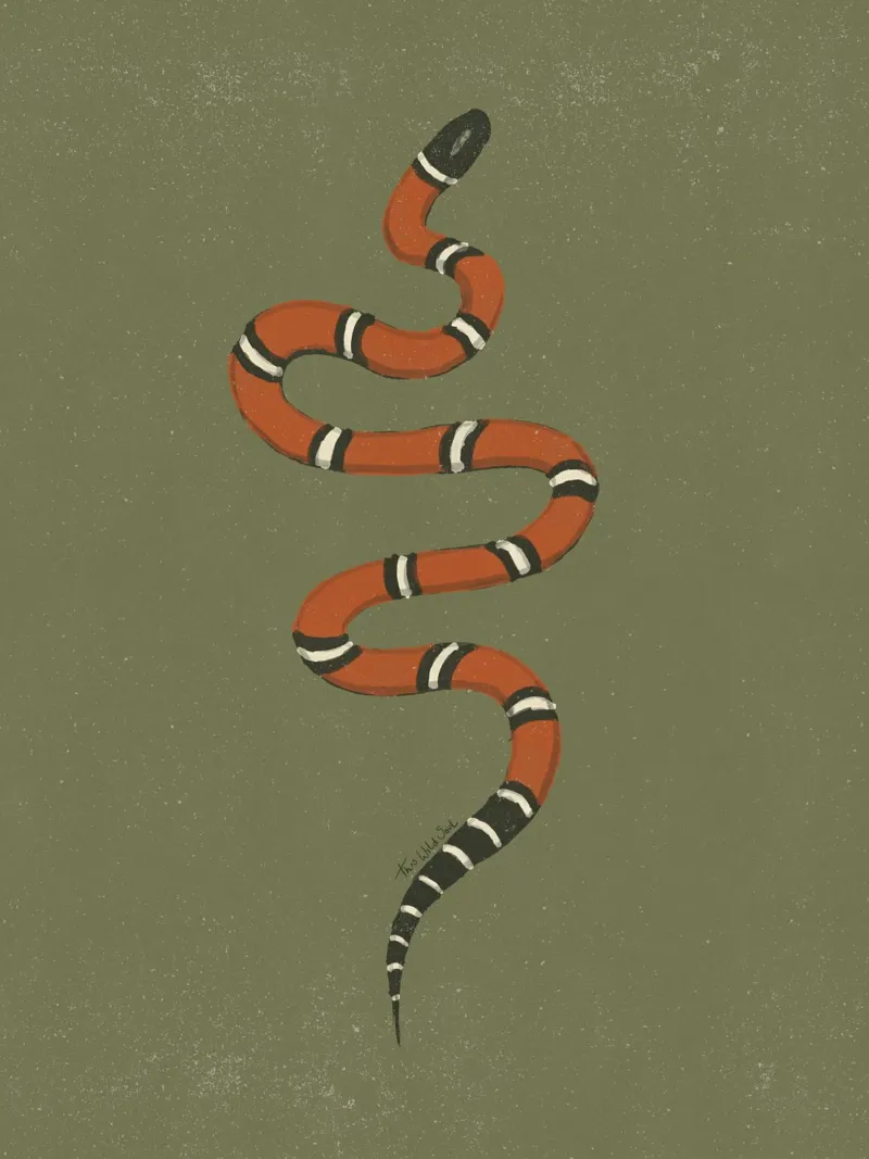 Anno del serpente, re del latte rosso serpente verde cachi Vintage poster con telaio in legno da This Wild Soul - Illustration
