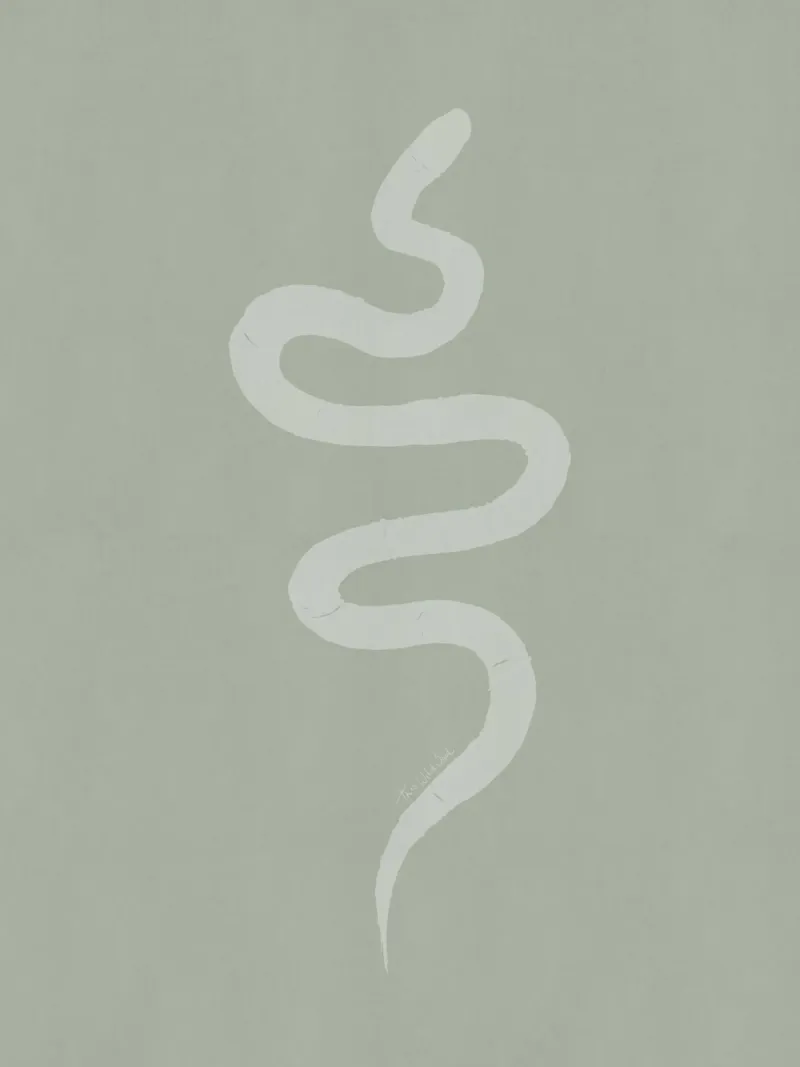 Pastellgrün Kreide weiß Minimalistisch Abstrakt Boho Snake Hahnemühle von This Wild Soul - Illustration