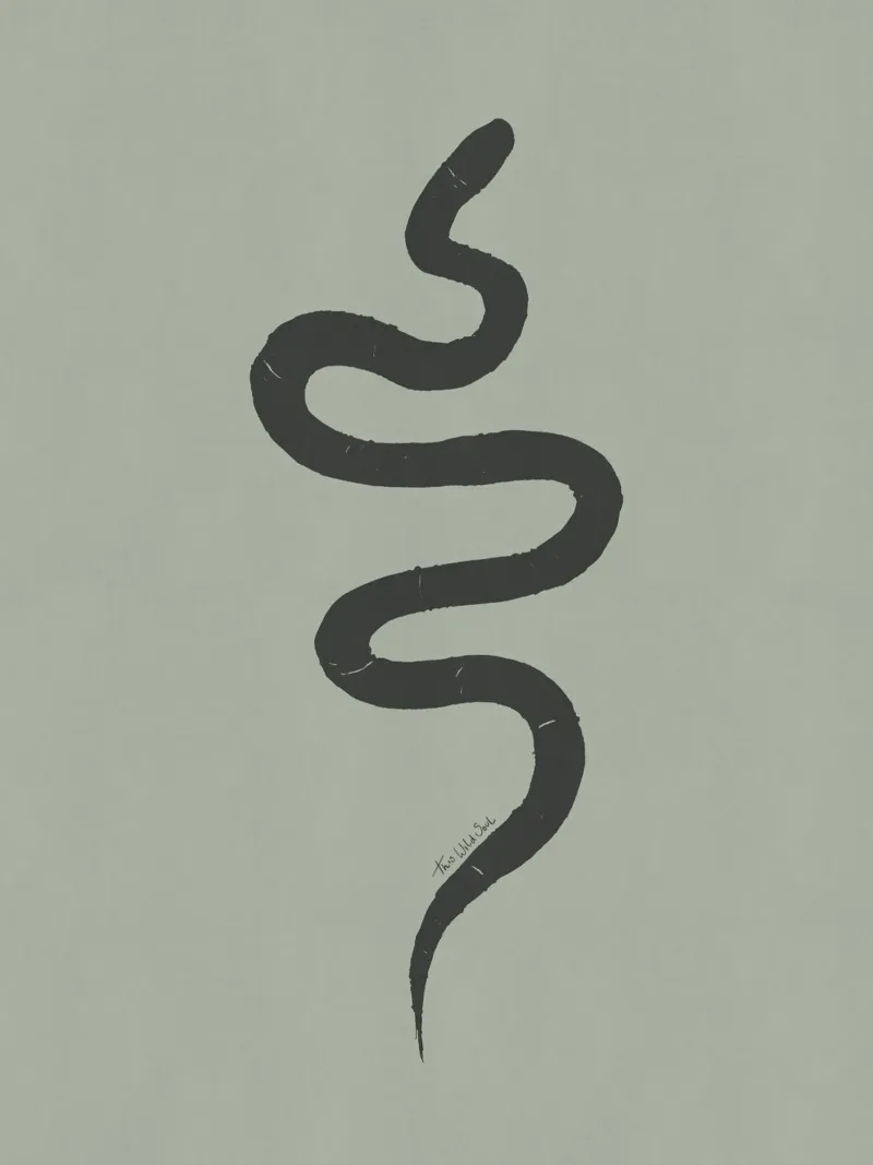 Boho Pastel Vert Sauge Serpent Noir - Minimalist Abstract hahnemühle de This Wild Soul - Illustration