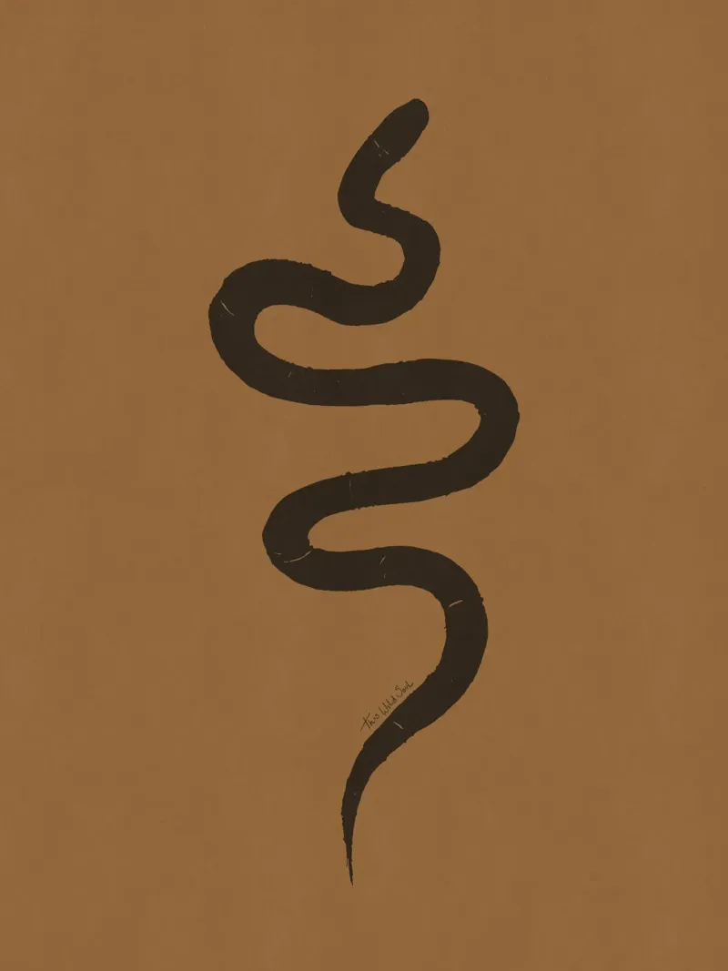 Serpente astratto organico boho in terracotta e nero carbone plexiglass da This Wild Soul - Illustration