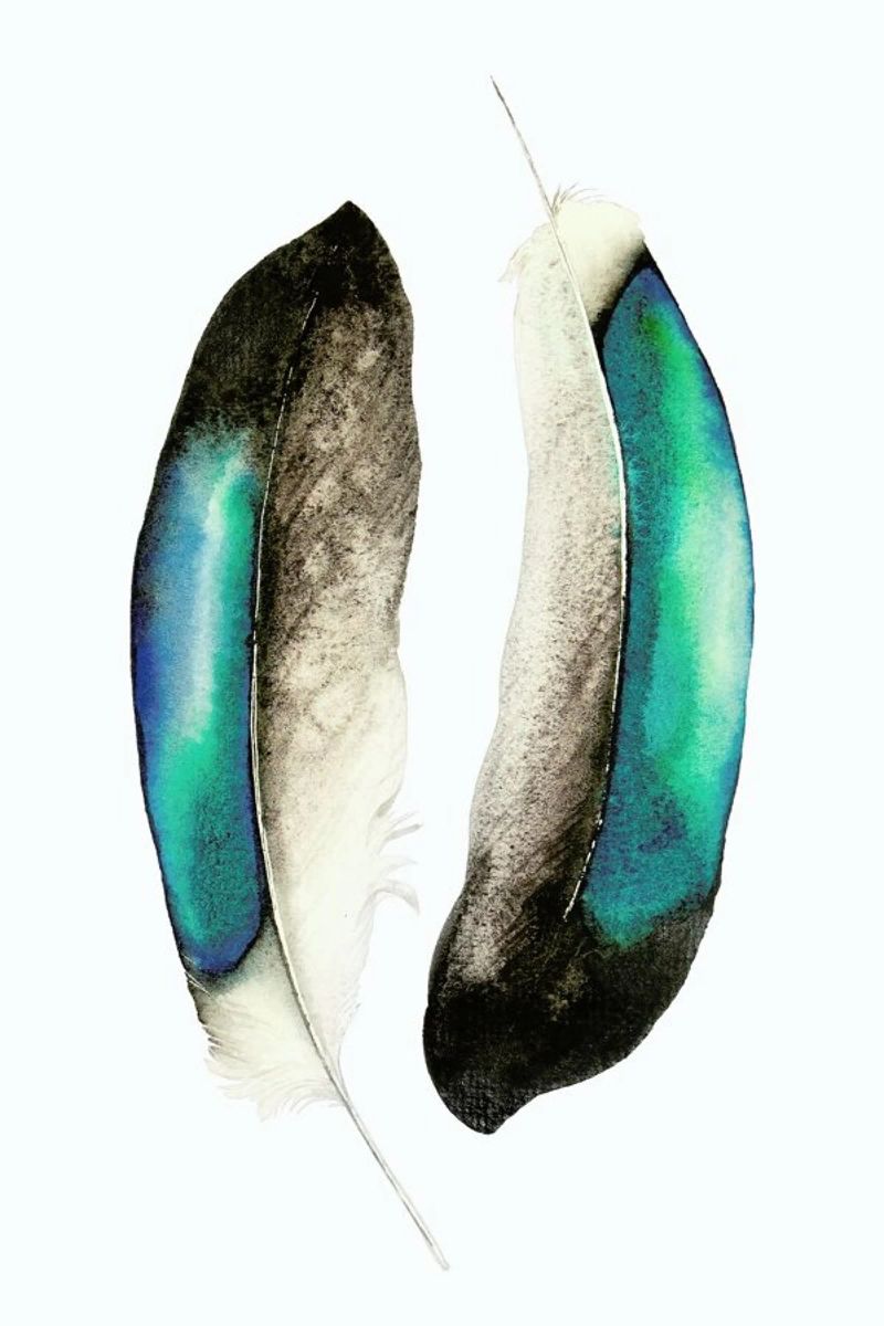 Smaragd Feathers poster da Karolina Kijak