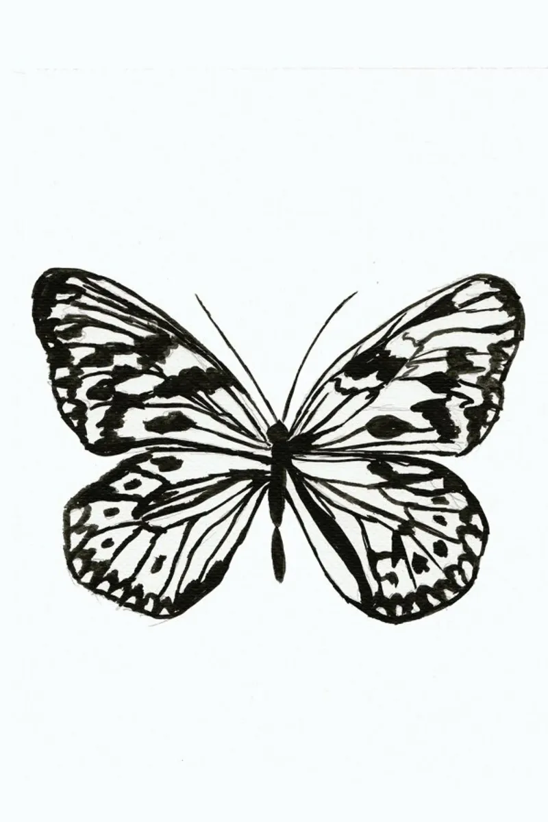 Butterfly No. 45 poster con telaio in legno da Nathys_illustration