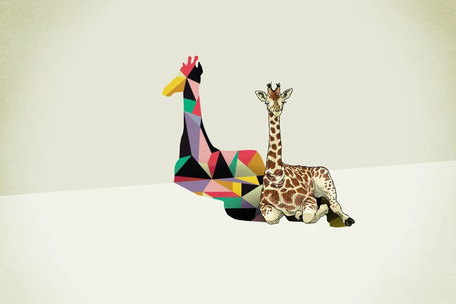 Walking Shadow - Giraffe canvas by Jason Ratliff