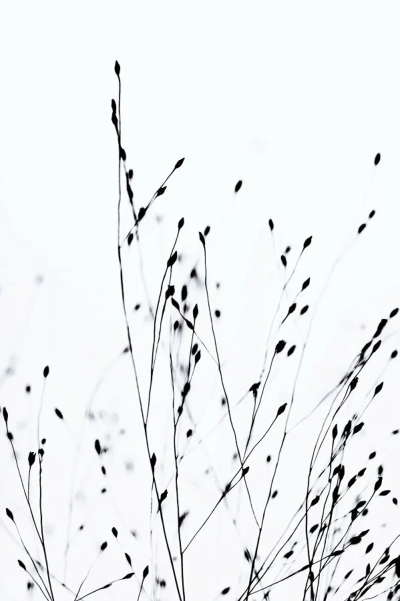 Black Grass poster con telaio in alluminio da Monika Strigel