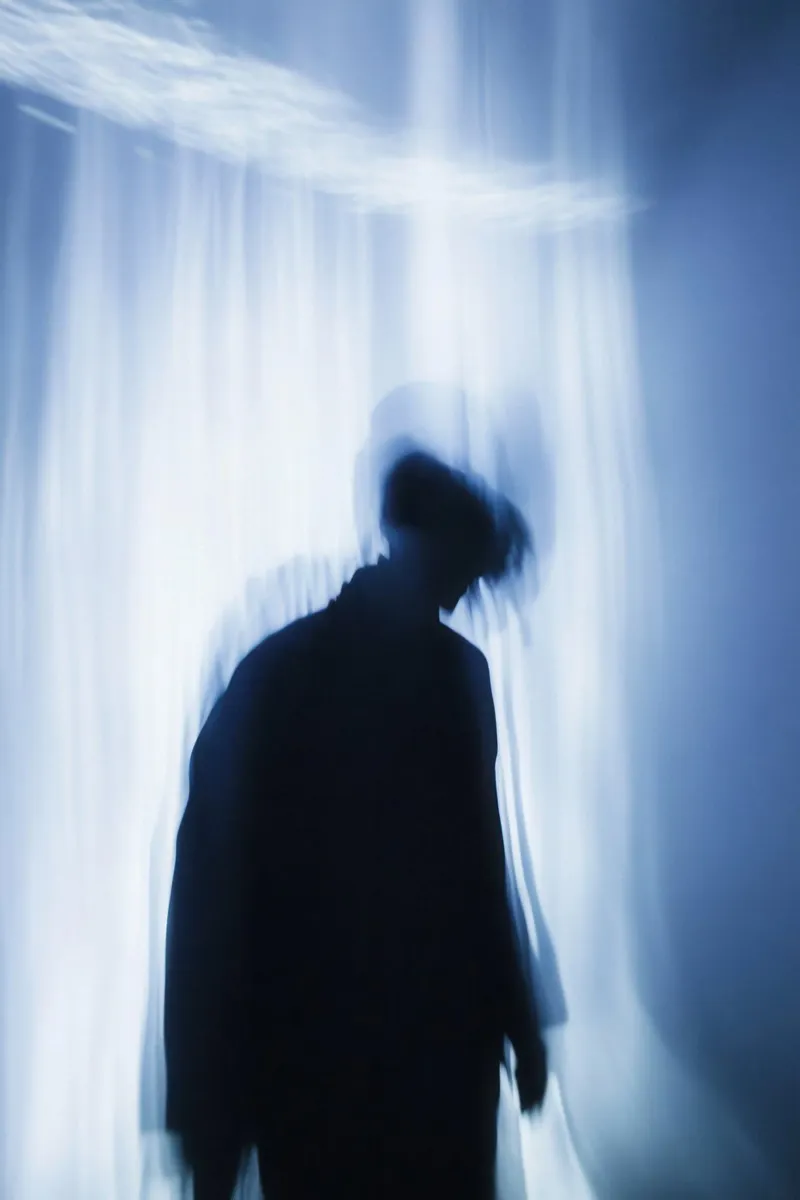 Luce velata: ombra e mistero poster con telaio in alluminio da Le Flou