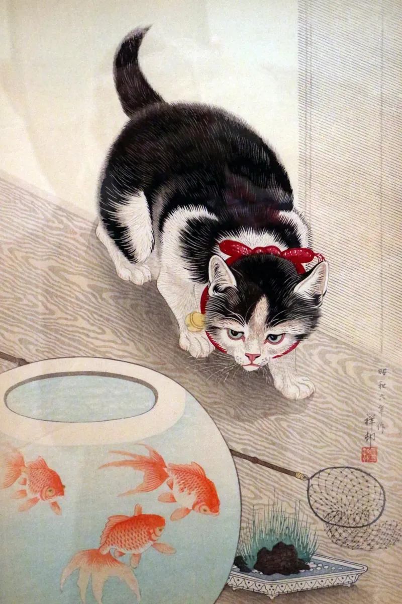Cat and Bowl of Goldfish -Ohara Koson canvas with Floater frame by William Store