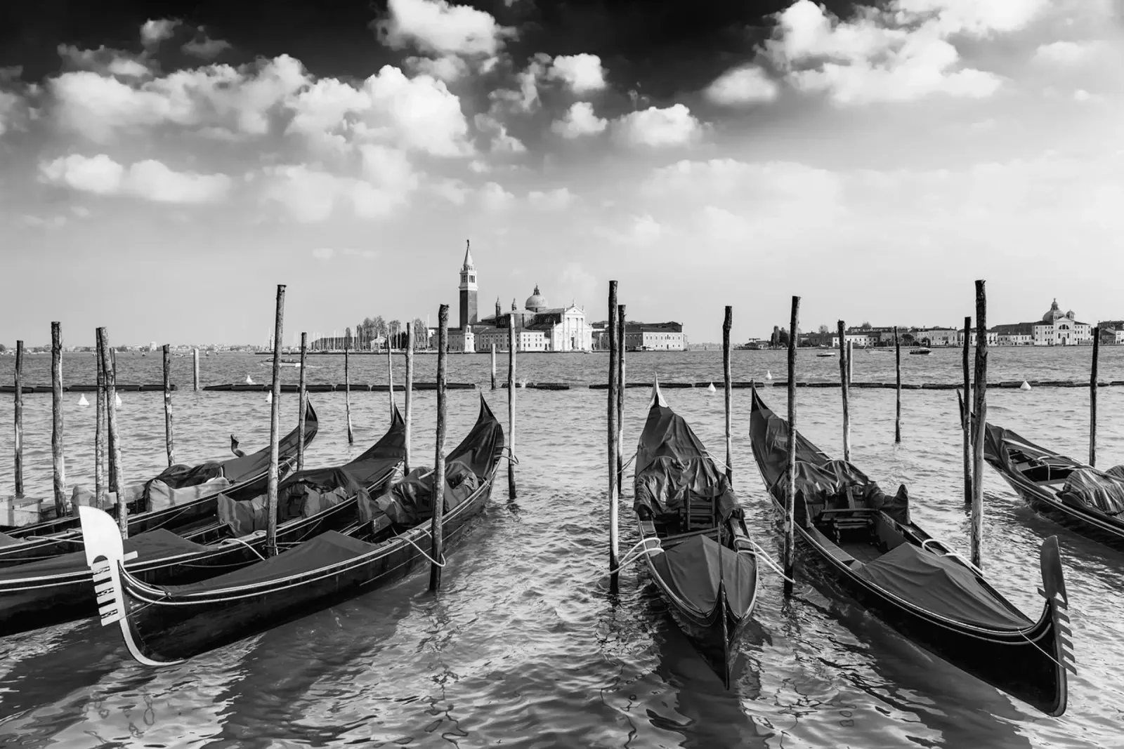 VENICE 10 pellicola backlit da Tom Uhlenberg