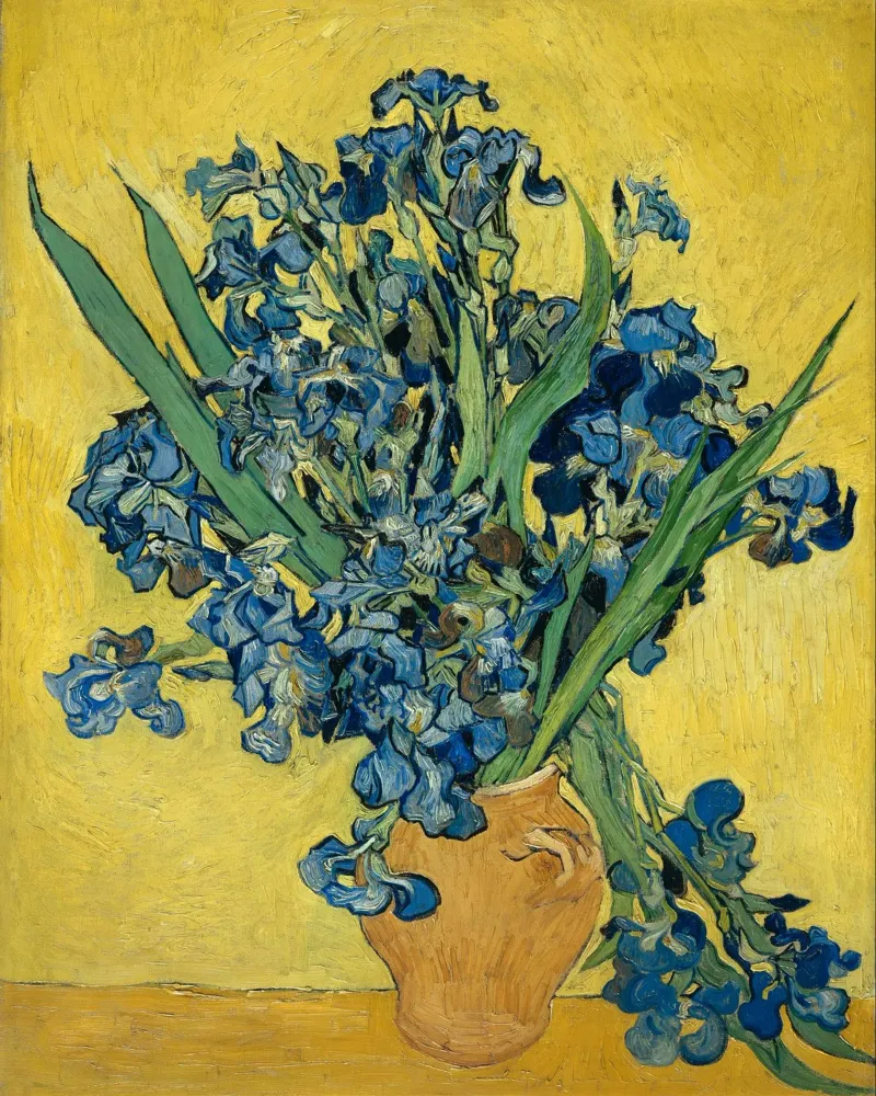 Vincent van Gogh - Iris pellicola backlit da Timeless Artworks