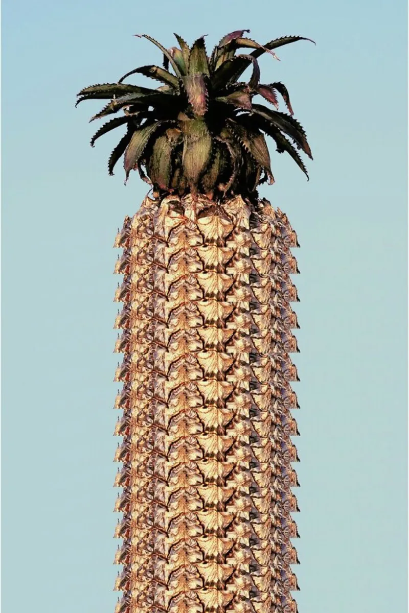 Pineapple poster con telaio in plastica da Ballack Art House