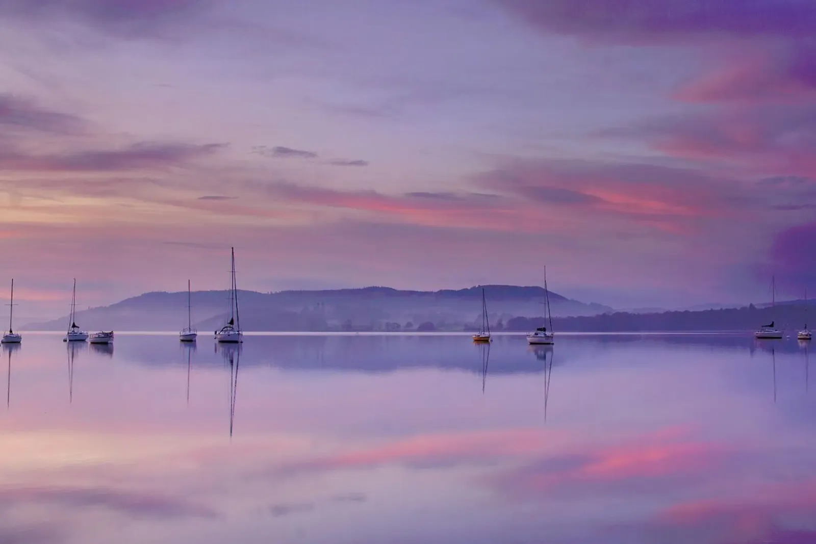 Pink Morning - Margarita Chernilova acrylic glass by Pictufy