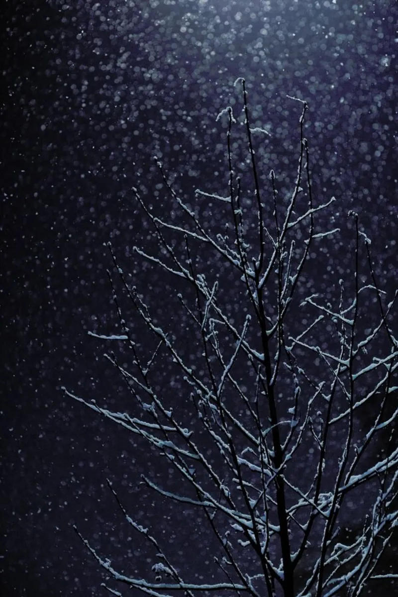 Winter poster con telaio in legno da Jovana Rikalo