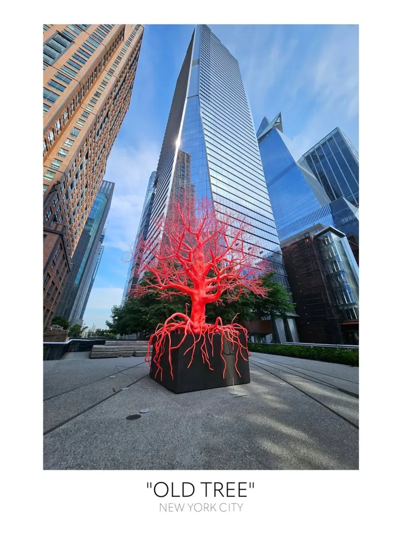 "OLD TREE" NEW YORK CITY poster da Wonderland Photography