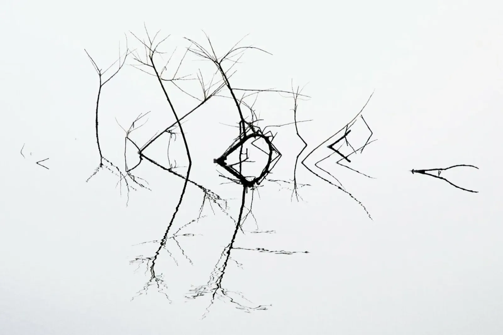 Quivering - Bernie Delaney plexiglass da Pictufy
