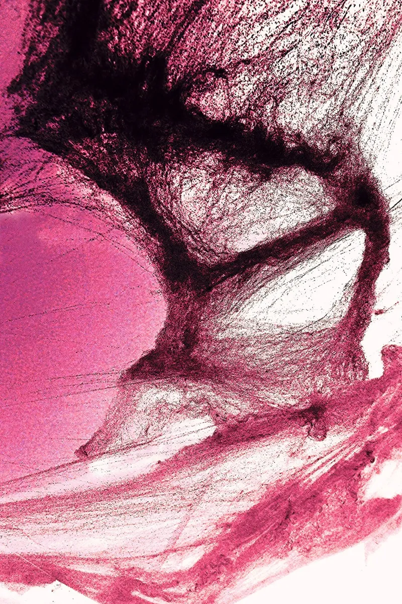 Rosa e nero poster con telaio in plastica da Massimo Frascogna