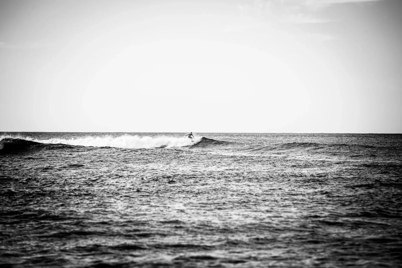 Surfer pellicola backlit da Flo Klein