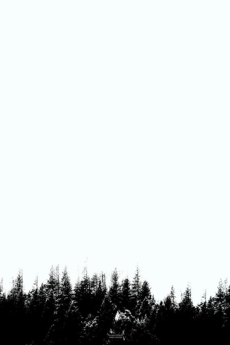 Silence of Nature plexiglass da Nordic Creators