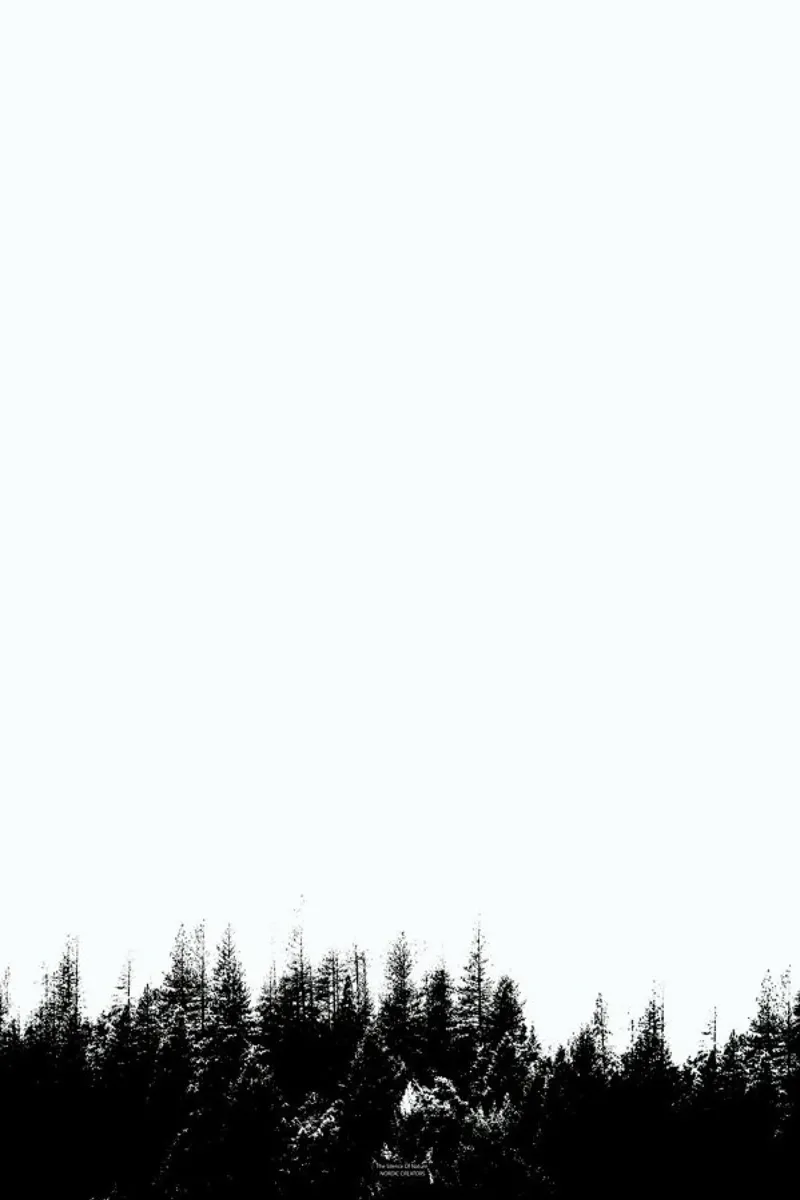 Silence of Nature plexiglass da Nordic Creators