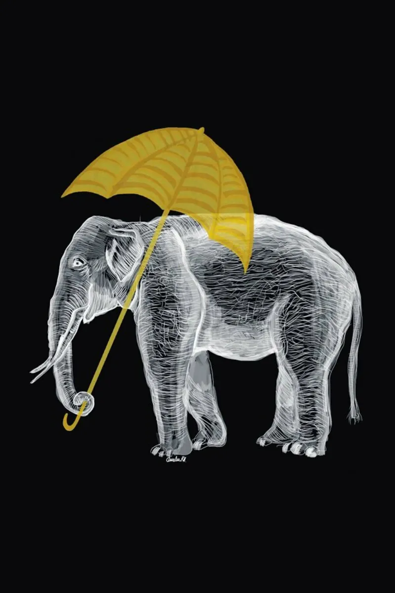 Elephant with Umbrella 2 pellicola backlit da Amalia Restrepo