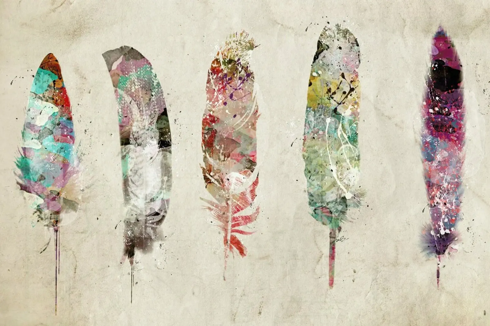 Pop Art Feathers pellicola backlit da Brian Buckley