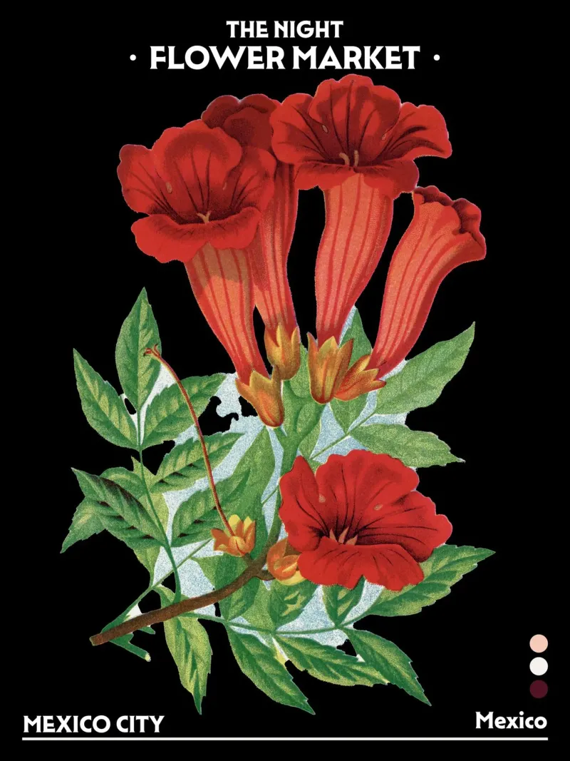 Mercato notturno dei fiori - Vintage Botanical, Città del Messico poster con telaio in alluminio da Peaches Art Prints