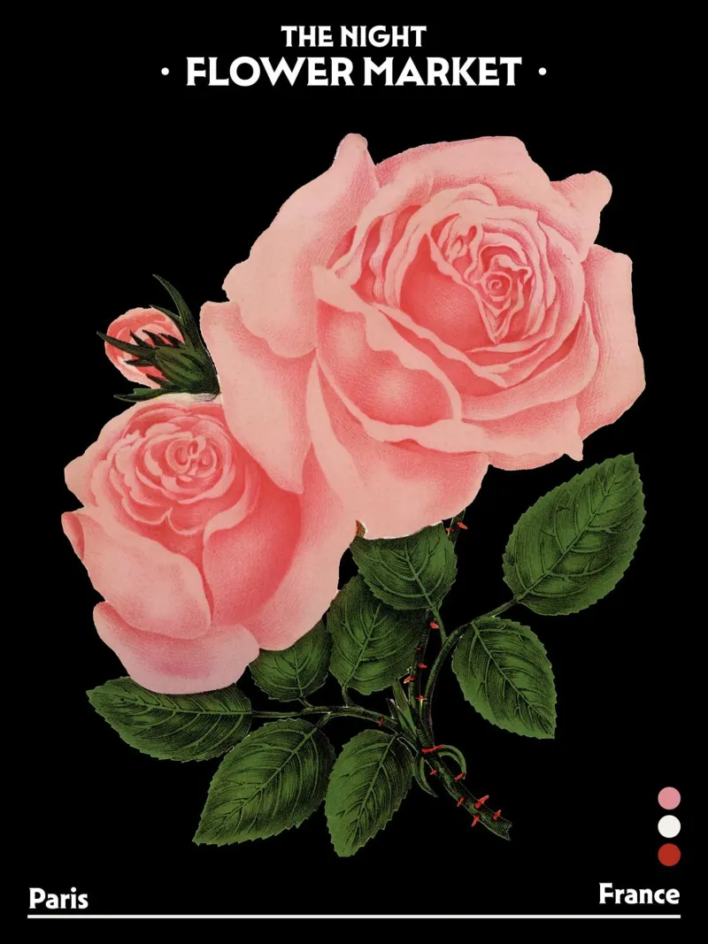 Mercato dei fiori notturno, Botanico d'epoca, Parigi, Francia, Rose poster da Peaches Art Prints