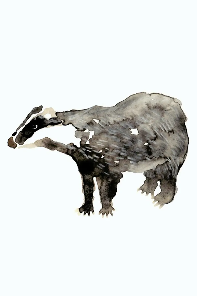 Badger pellicola backlit da Farina Kuklinski