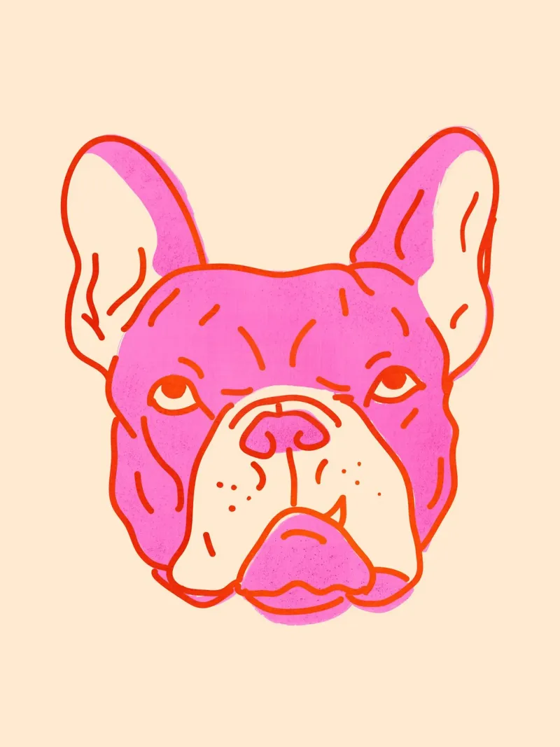 Bulldog Pop Art in rosa caldo e arancione su crema pellicola backlit da showmemars