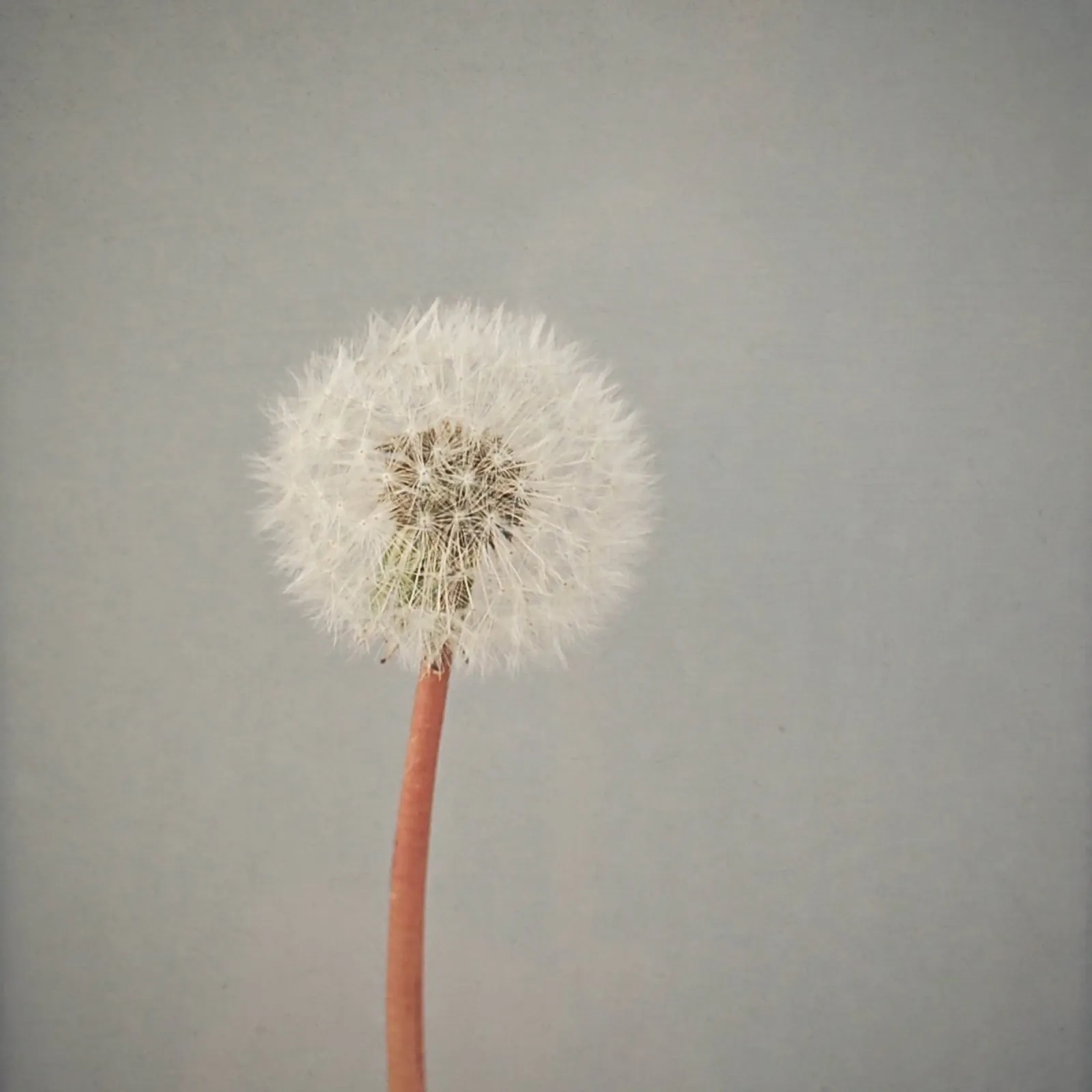 The Passing of Time canvas with Floater frame by Cassia Beck Photography