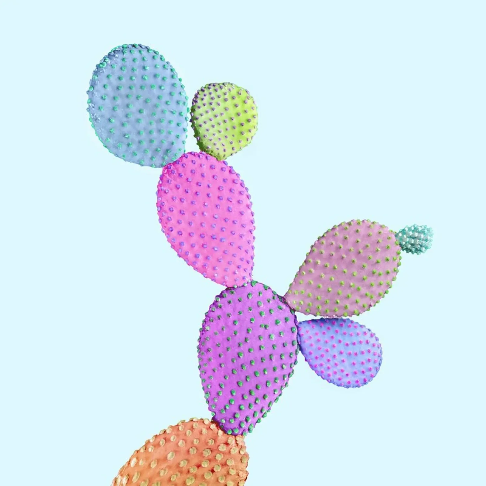 Color Cactus pellicola backlit da Paul Fuentes Design