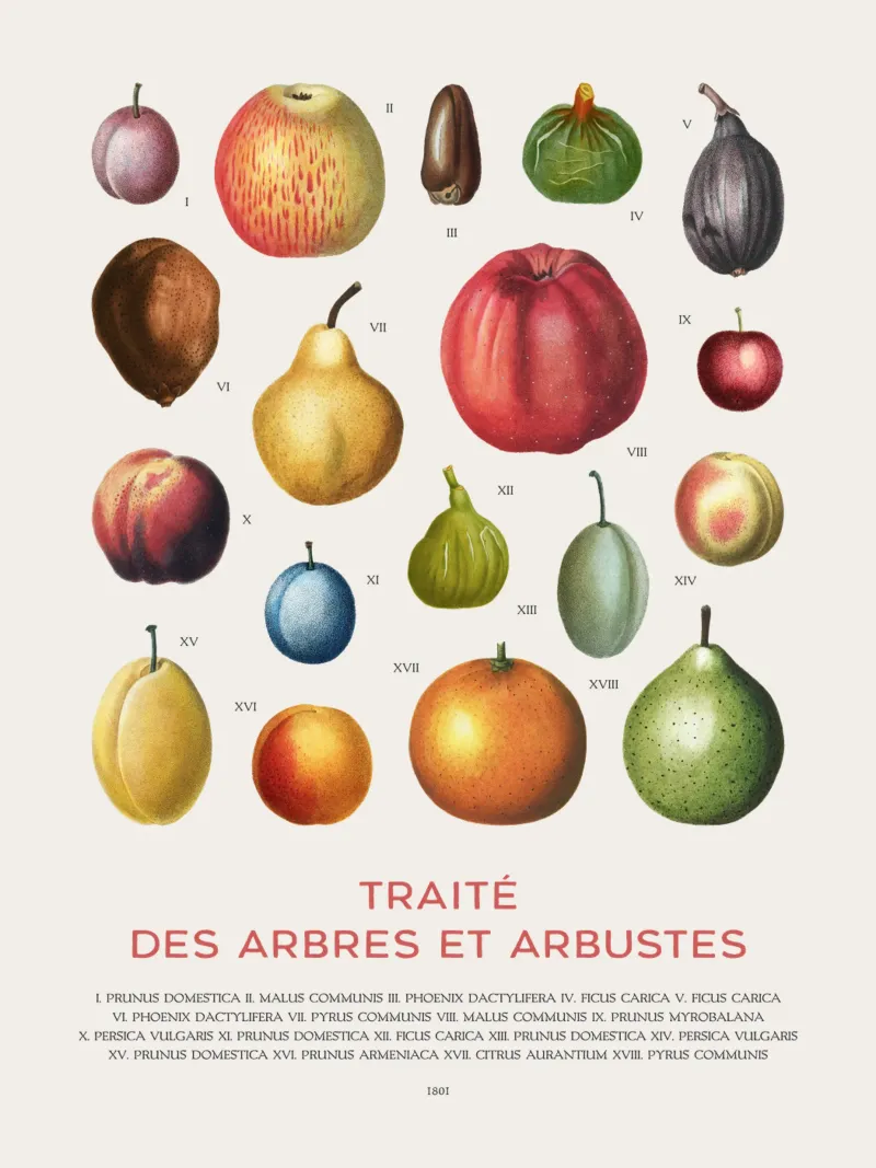 Tabella della frutta poster con telaio in legno da Vintagrafica
