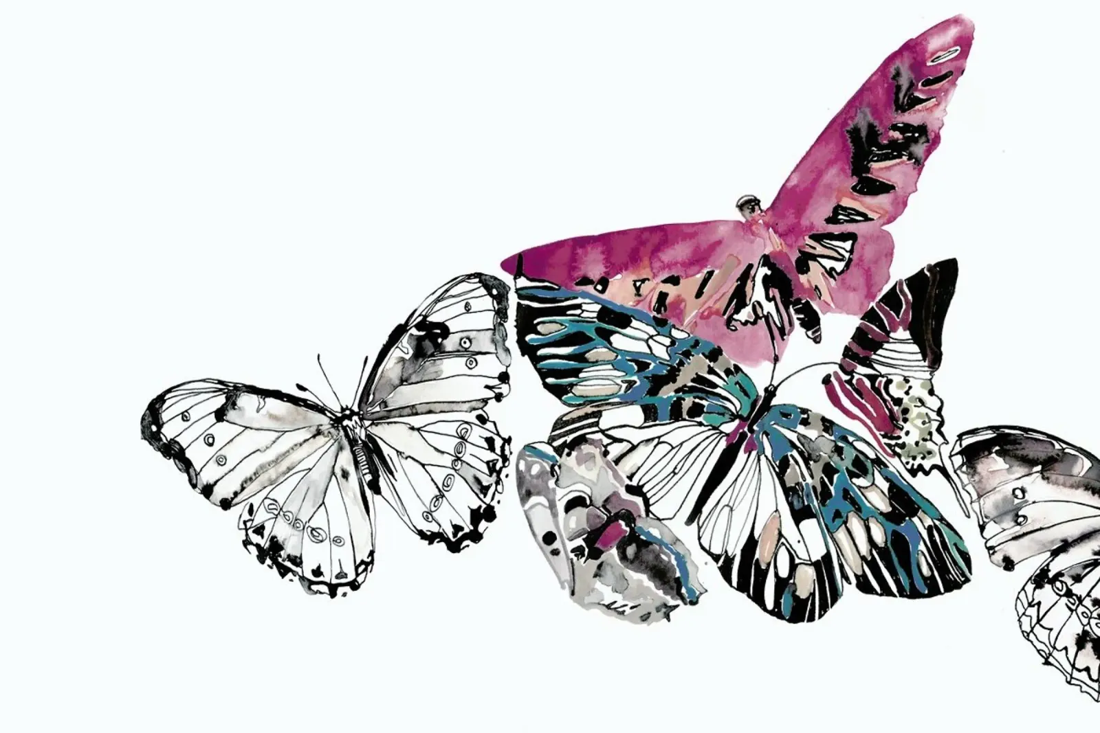 Butterflies forex plate by Céleste Hollak