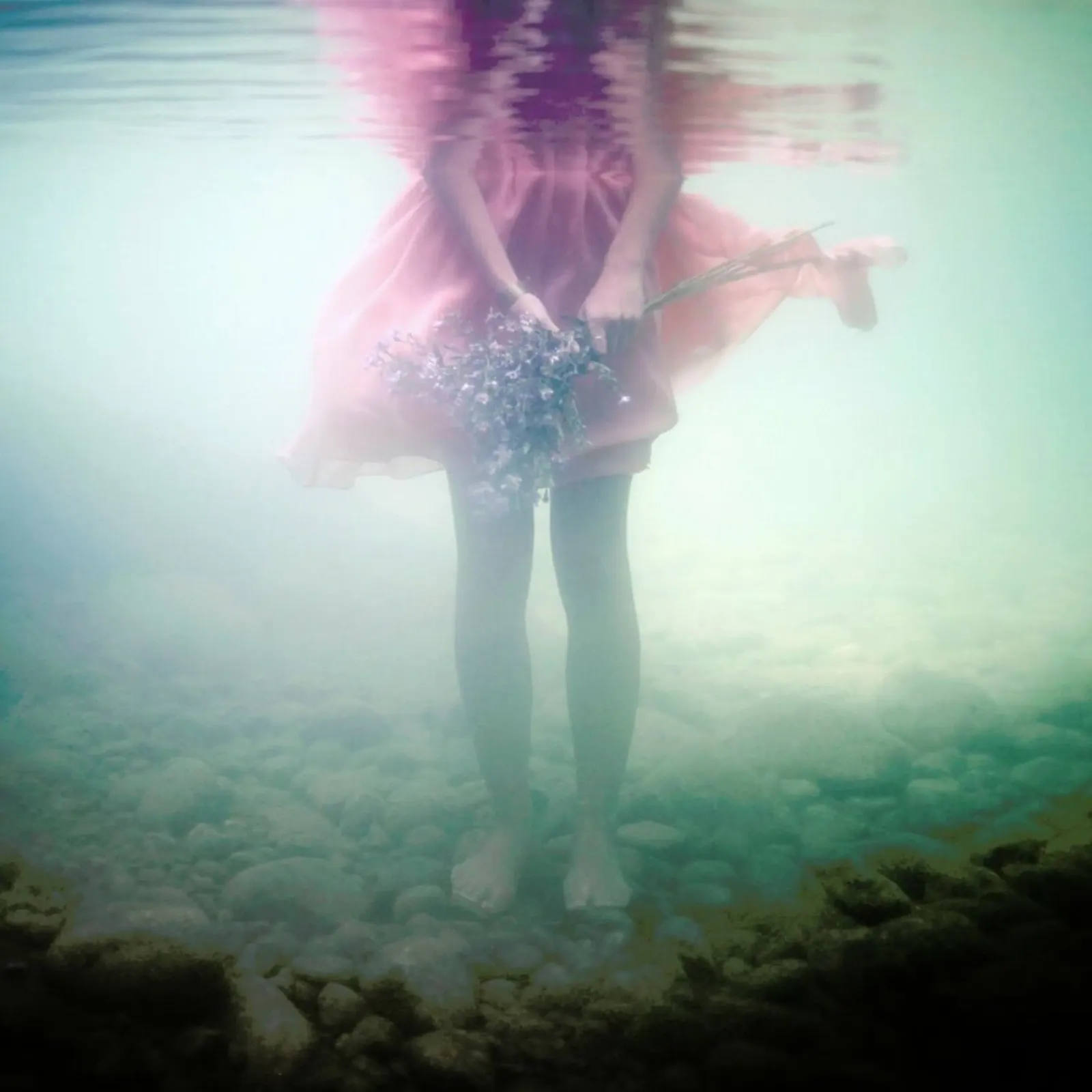 Underwater Bouquet pellicola backlit da Lara Zankoul