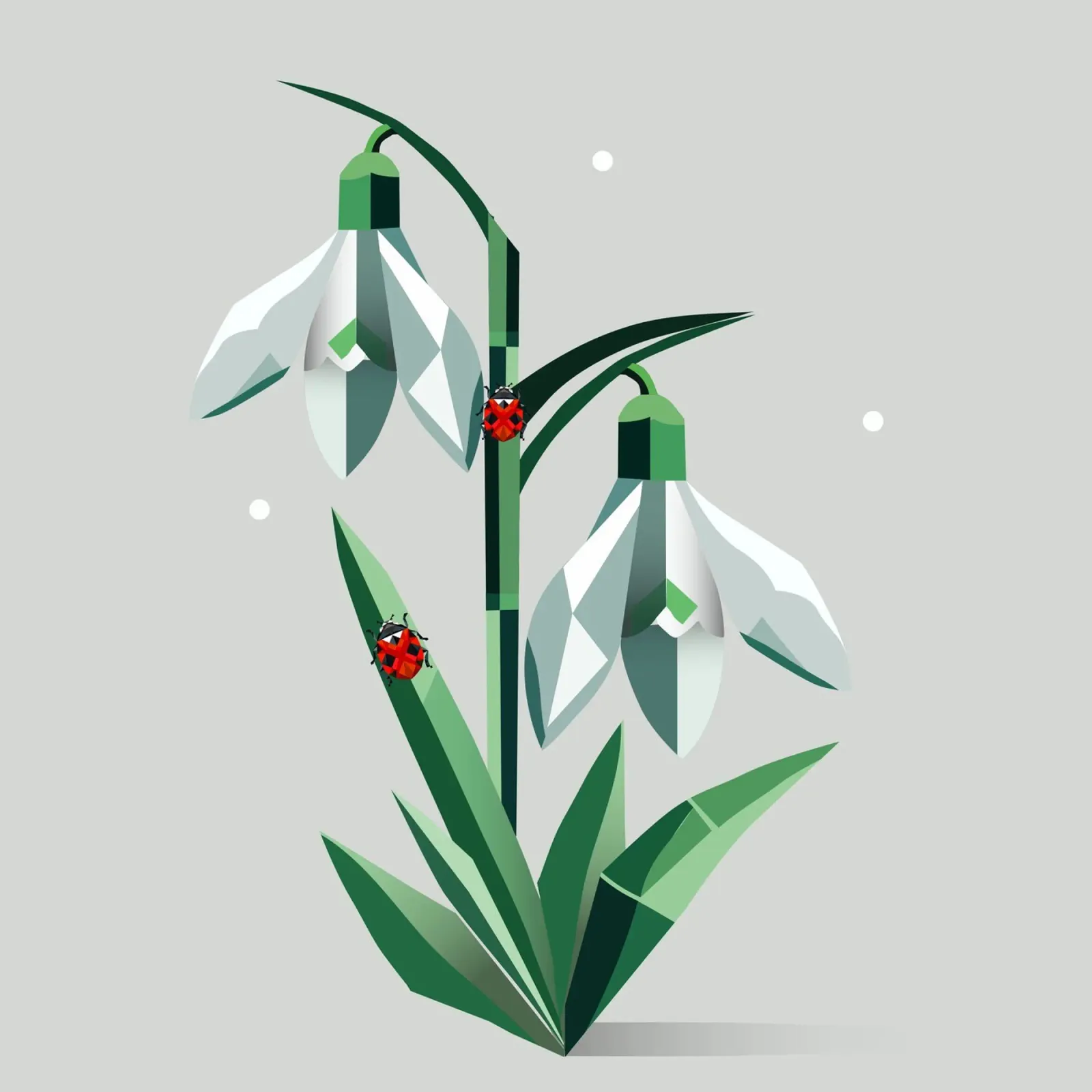 Bucaneve con coccinelle - Arte di primavera poster con telaio in legno da namosh