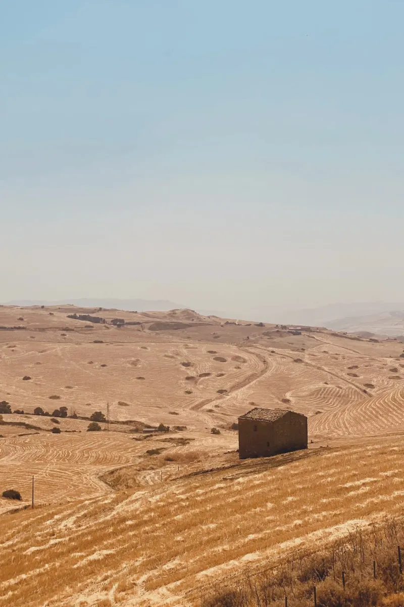 Sizilien Forex-Platte von Laura Saggau